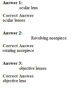 Quiz 2